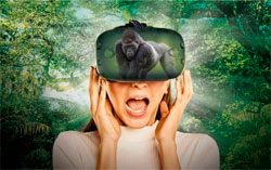 В китайском зоопарке посетители могут общаться с животными в виртуальной реальности
